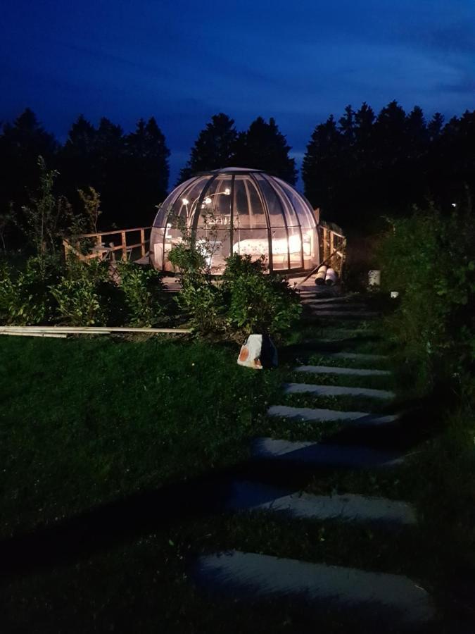 La Bulle Au Bois Dormant D'Ovifat Villa Robertville Buitenkant foto